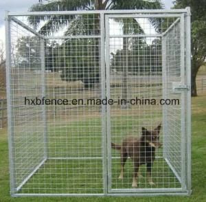 Galvanized Wleded Wire Mesh Filled Outdoor Dog Fence/Dog Kennel/Dog Cage