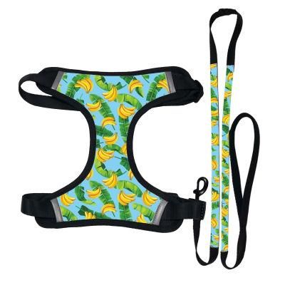 Small Dog Harness and Leash Set Reflective Pet Vest Harness with Lesh Harness Neoprene/Pet Toy