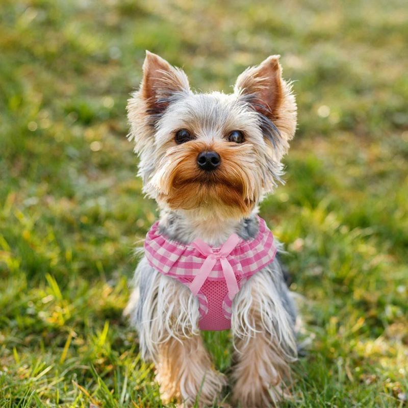 Fashion Puppy Harness for Pets Dog & Cat