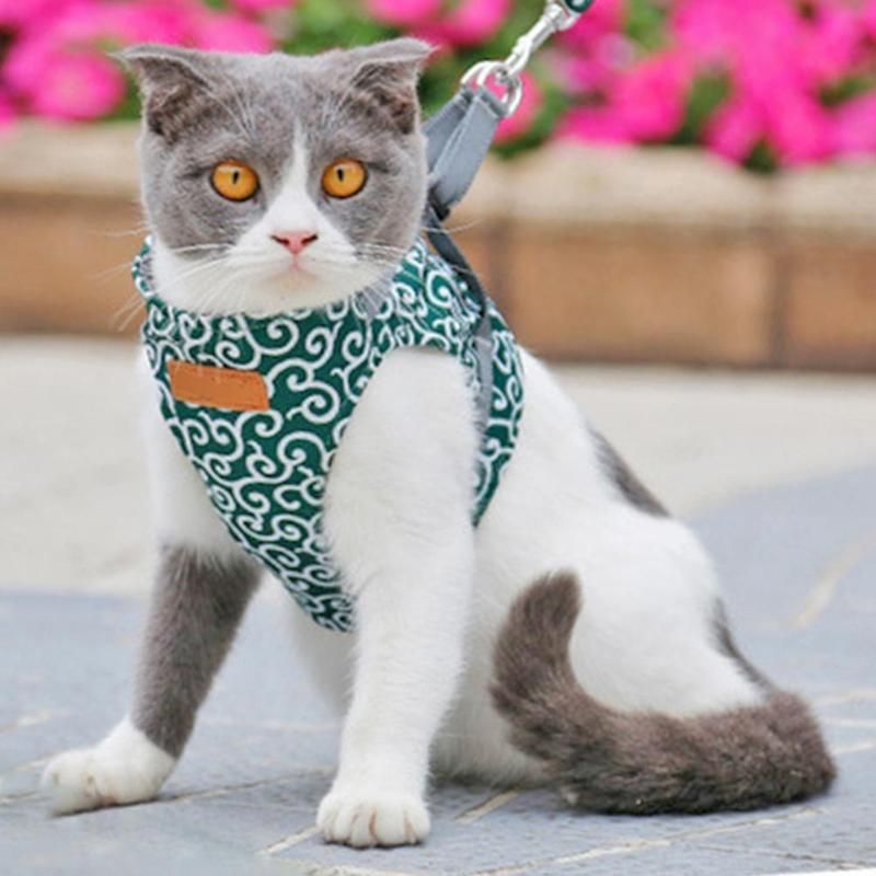 Fashion Pet Cat Vest Outdoor Travel Walking Harness Leash Set Wholesale Dog Clothing