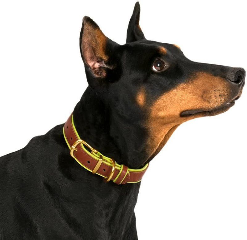 Leather Dog Collar with Soft Padded Inner Side