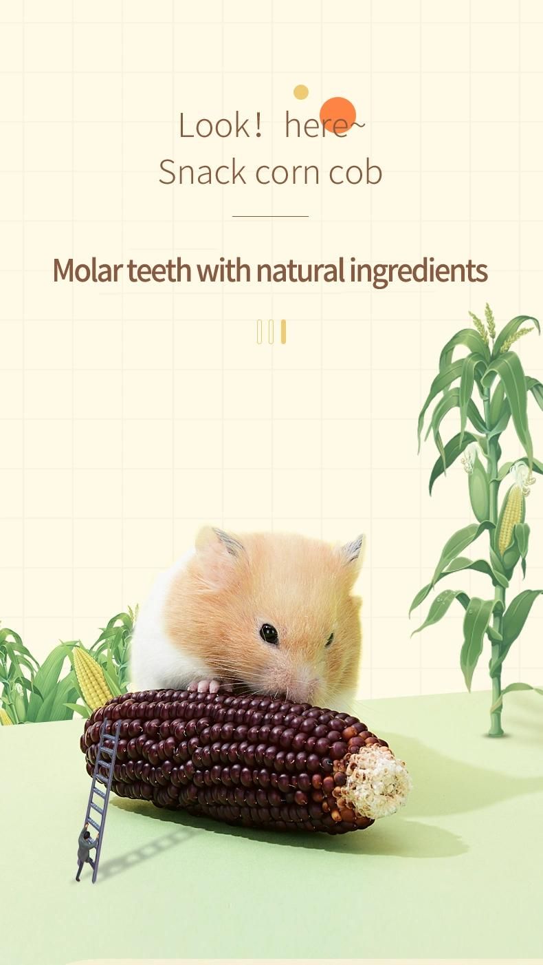 Yee Nature Corn Snacks for Small Pet Hamster Molar Snacks Pet Healthy Food