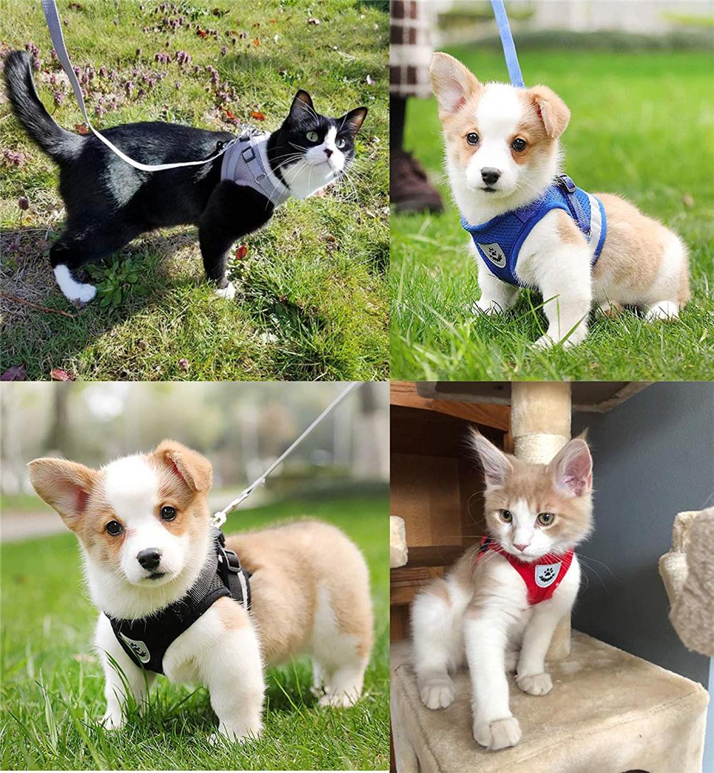 Escape Proof Cat Harness and Leash Set Soft Mesh Pet Vest for Kitten Puppy Rabbit