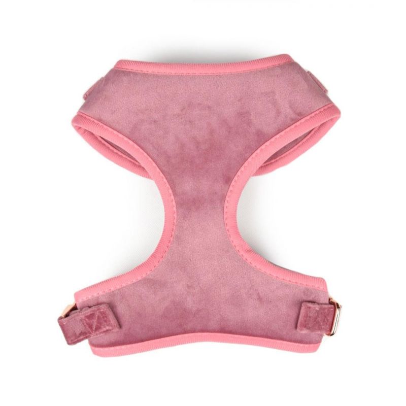 Pet Supplies Custom Velvet Dog Harness and Leash Luxury with Metal Buckle Recycled Cotton Eco Friendly Arnes PARA Perros Vest