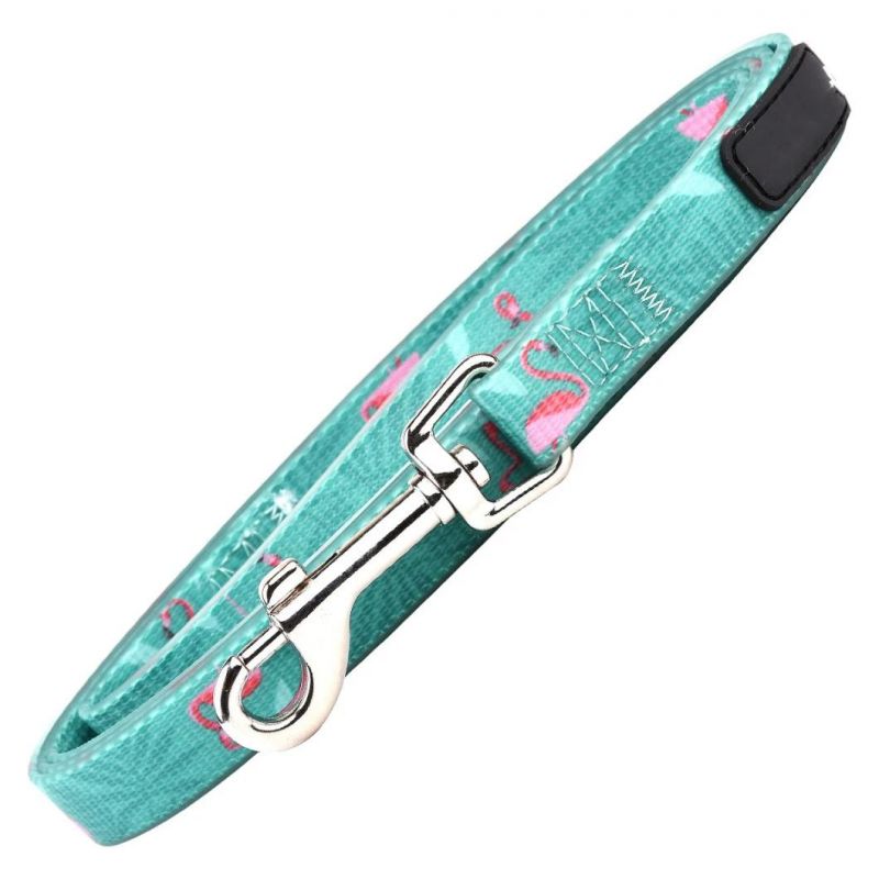 Wholesale Custom Dog Accessories Nylon Pet Collar and Leash