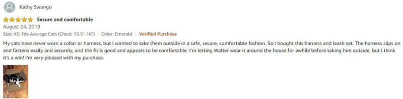 Escape Proof Adjustable Soft Mesh Cat Harness Vest and Leash Set with Reflective Strips