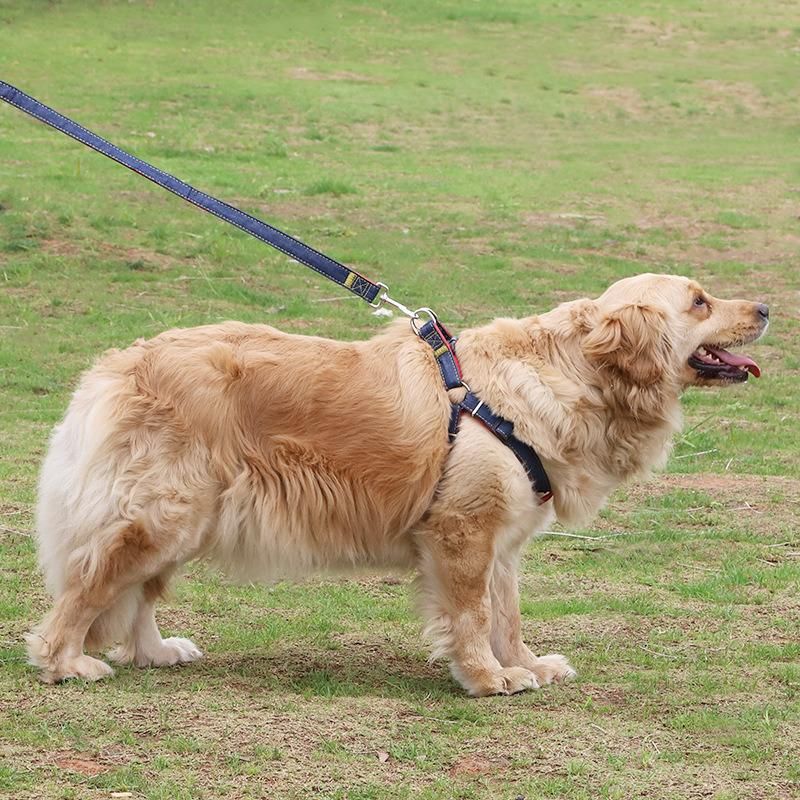 Pet Breathable Harness Adjustable Outdoor Dog Harness