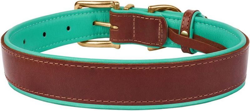 Leather Dog Collar with Soft Padded Inner Side