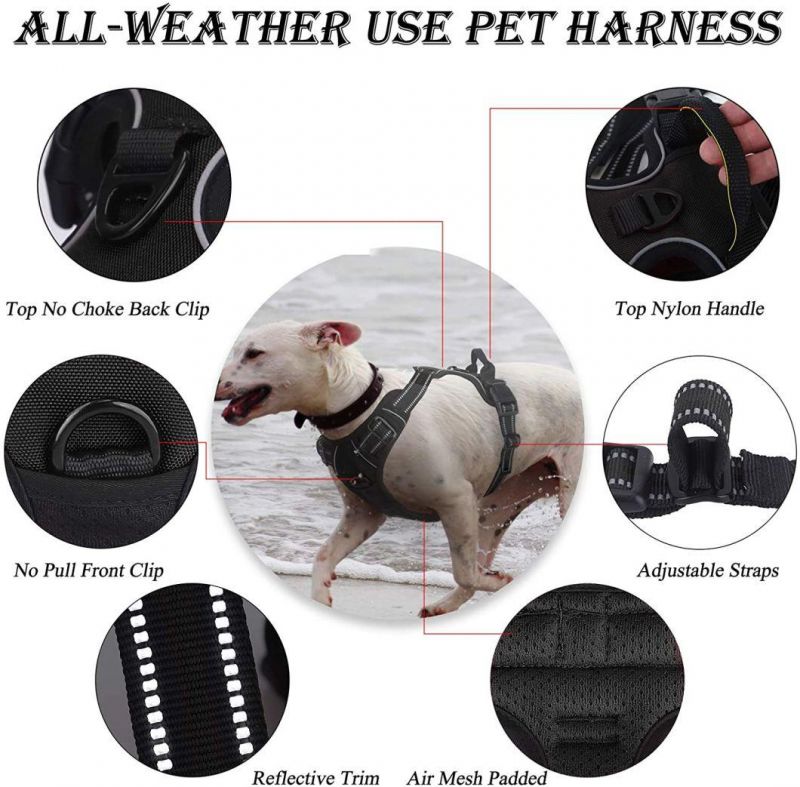 No-Pull Pet Harness with a Matching Dog Leash