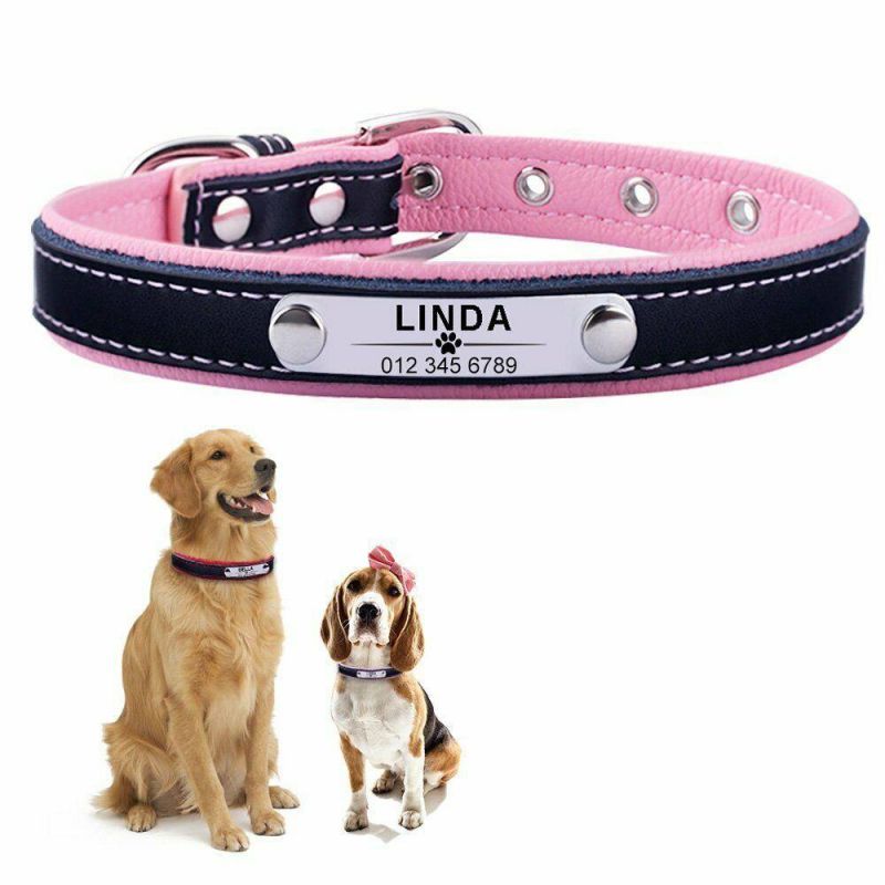 High Quality Engraved Name Leather Dog Collar Custom Pet Cat