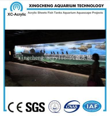 Customized Any Size of Acrylic Material Fishbowl Project