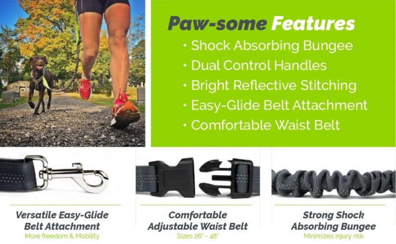 4-Foot Long Adjustable Waist Belt Dog Leash