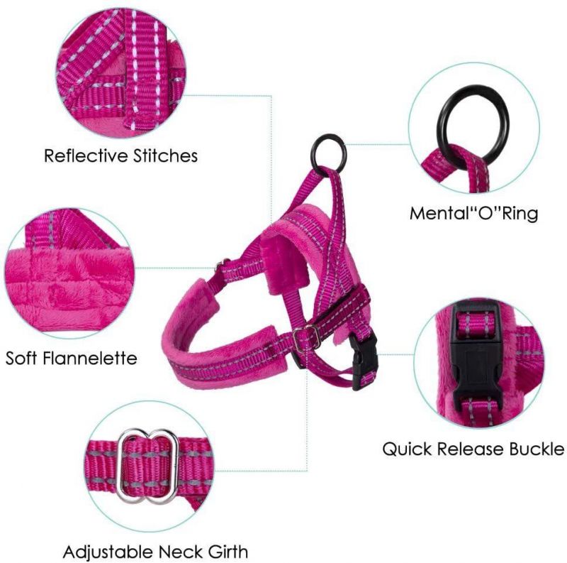 No Pull Small Dog Harness Heavy Duty Easy for Walk
