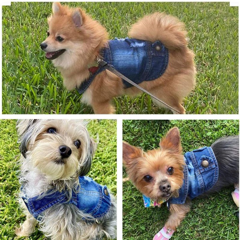 Dog Jeans Jacket Cool Blue Denim Coat