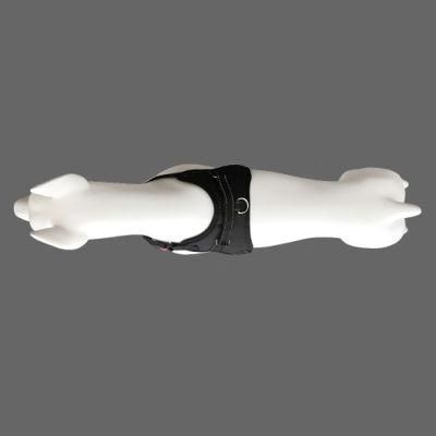 Stocked No Pull Reflective Adjustable Outdoor Pet Supply