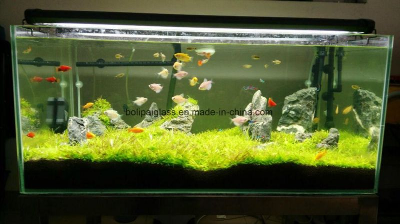Best-Selling Rectangular Glass Aquarium Fish Tank for Home Decorative