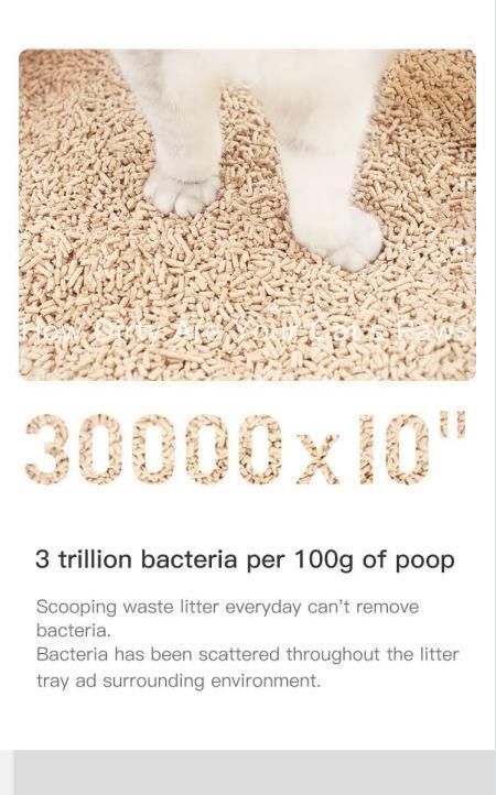 Cat Litter Deodorant Fresh Beads Make Your Cat Box Free of Odor