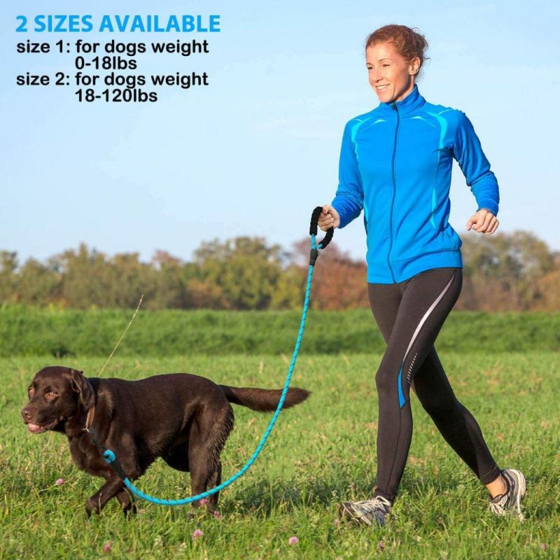 6FT Strong Dog Leash with Comfortable Padded Handle and Highly Reflective Threads Dog Leash