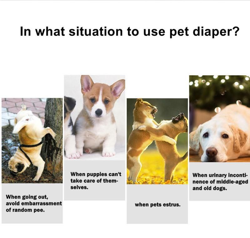 OEM Custom Disposable Pet Dog Puppy Training Diaper Wholesale