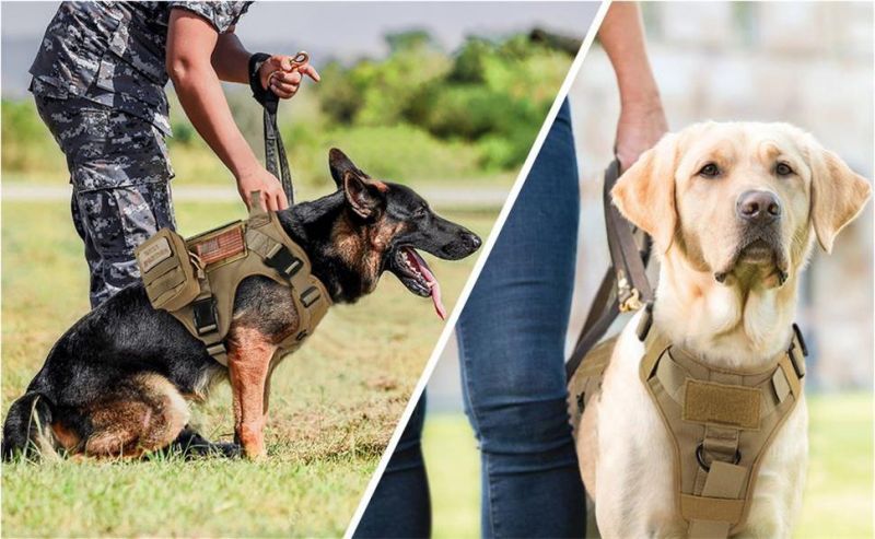Military Working Dog Vest Tactical Dog Harness Vest Large with Metal Buckles & Loop Panels, No-Pull Adjustable Training Harness
