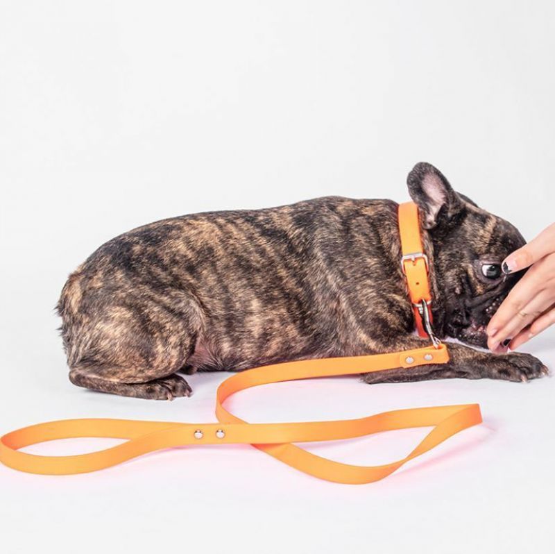 Support Customized Fashion PVC Dog Collar Waterproof Durable PVC Dog Collar and Leash