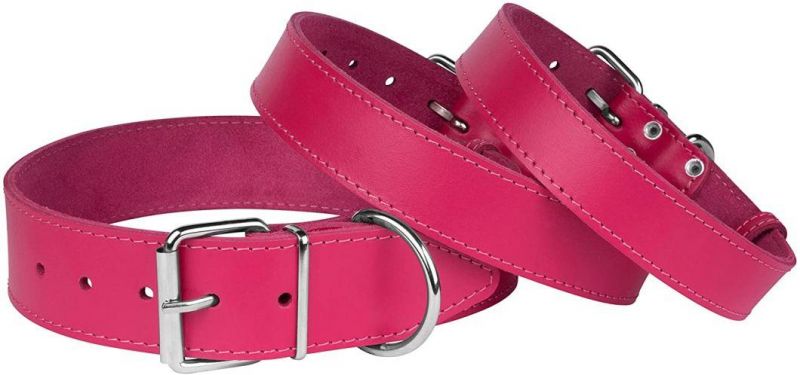 Fashionable Collar Leather Dog Collar with Multiple Colors