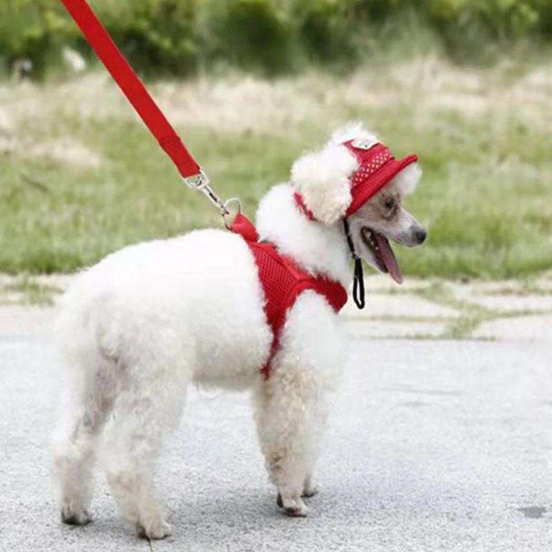 Summer Cool Pet Harness Breathable Mesh Pet Harness