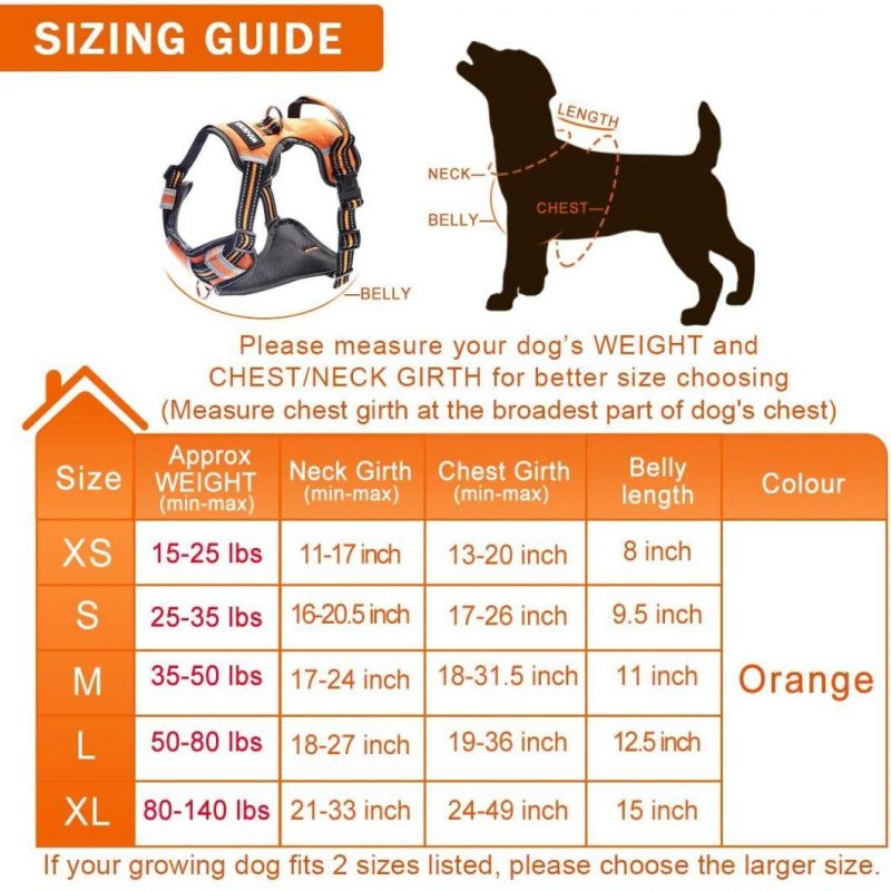 Amazon Hot Sell Reflective Adjustable Soft Padded No Pull Pet Vest Harness Dog Harness and Leash Set for Big Dog