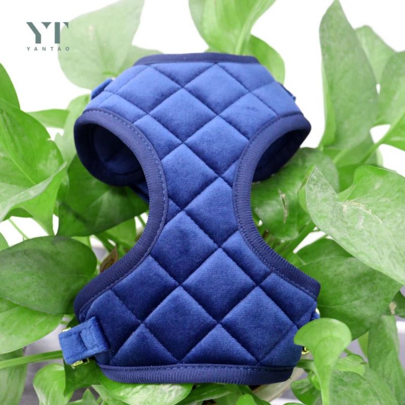 Custom High Quality Quilted Grid Luxury Velvet Dog Harness with Gold Metal Buckle