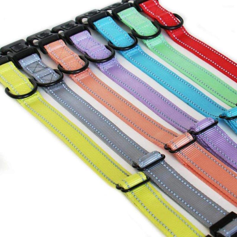 Fast Delivery of Dog Collar with Various Color Option