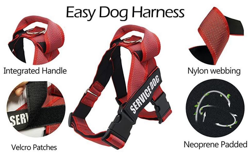 K9 IDC Color & Gray Belt Harness for Dogs