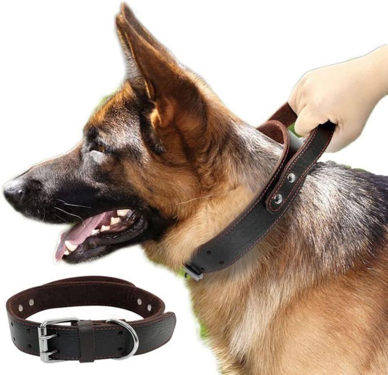 Genuine Leather Dog Collar for Walking & Training Heavy Duty Dog Collar with Handle