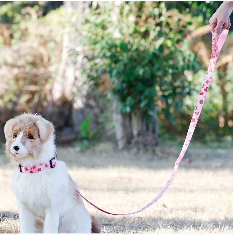 Amazon Same Style Pink Leash Lovely Silk Screen Pattern Nylon Material Pet Training Dog Leash