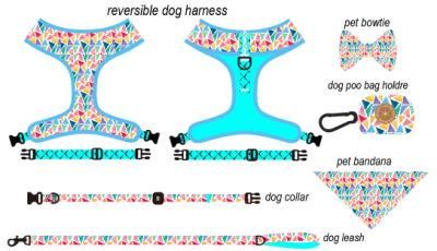 Harness Matching Collar Leash Set Are Customizable