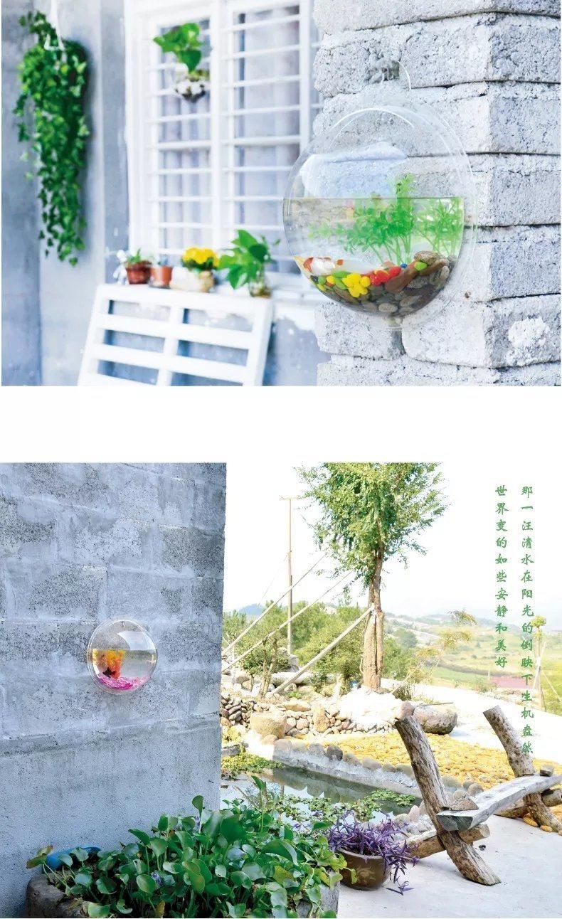 The Latest Design Acrylic Fish Tank Can Be Hung