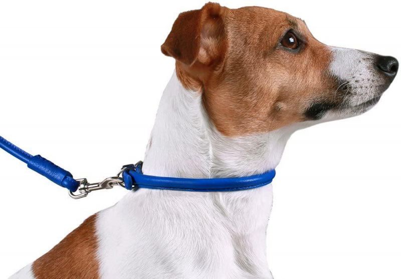 Rolled Dog Collar Leather Dog Collar with Multiple Colors