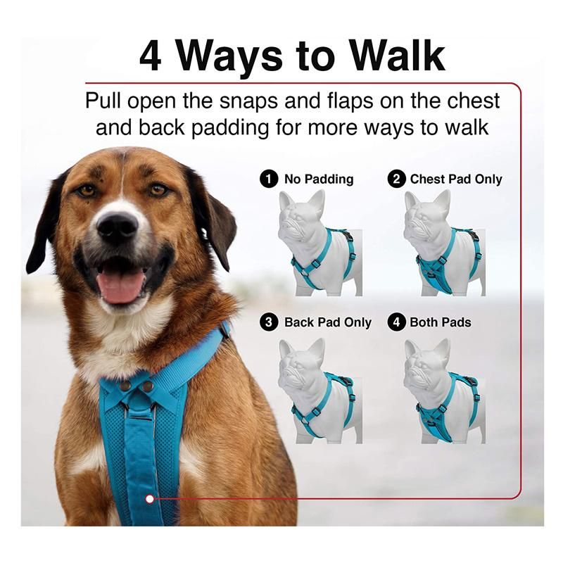 Freestyle 4-in-1 Dog Harness Adjustable Webbing Harness with Removable Padding for Small to Large Dogs