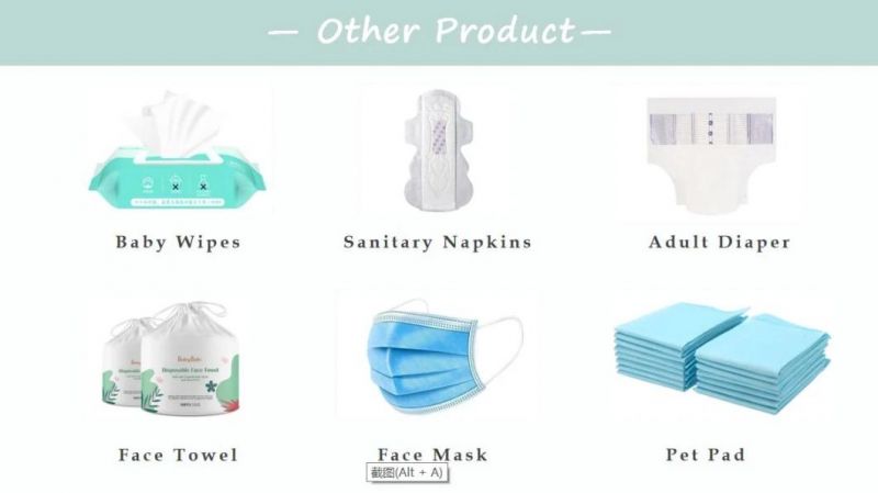 High Quality Super Absorption Disposable Pet Dog Diaper Manufacturer