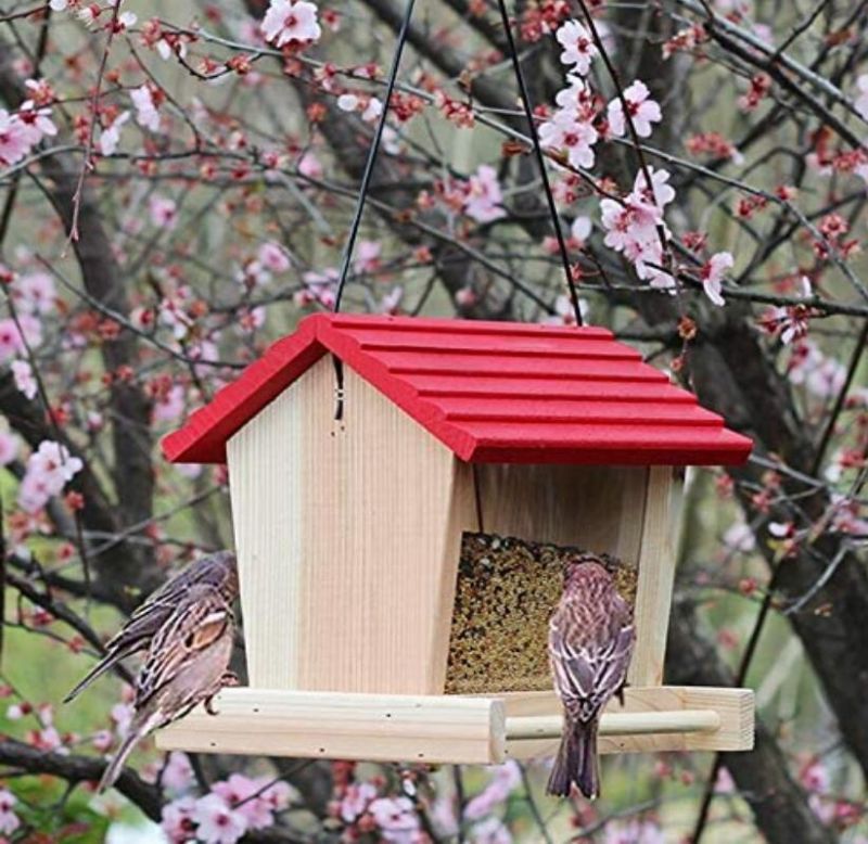 Creation Core Outdoor Wooden Bird Seed Feeder