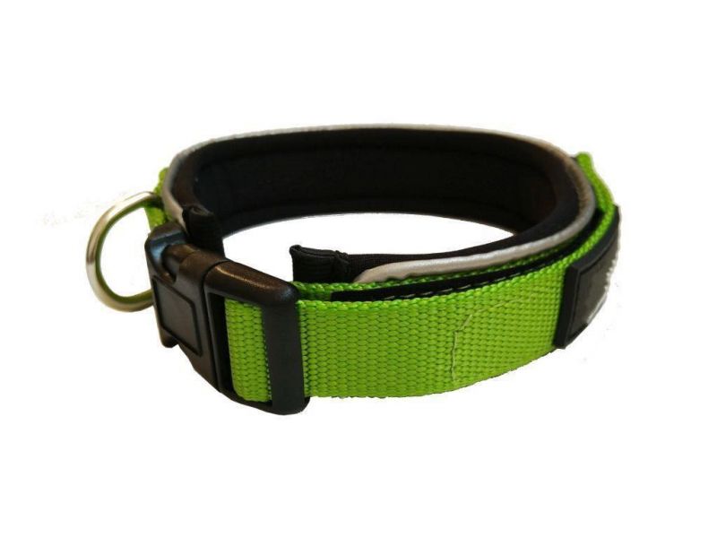 Highly Reflective Padded Polyester and Neoprene Dog Collars