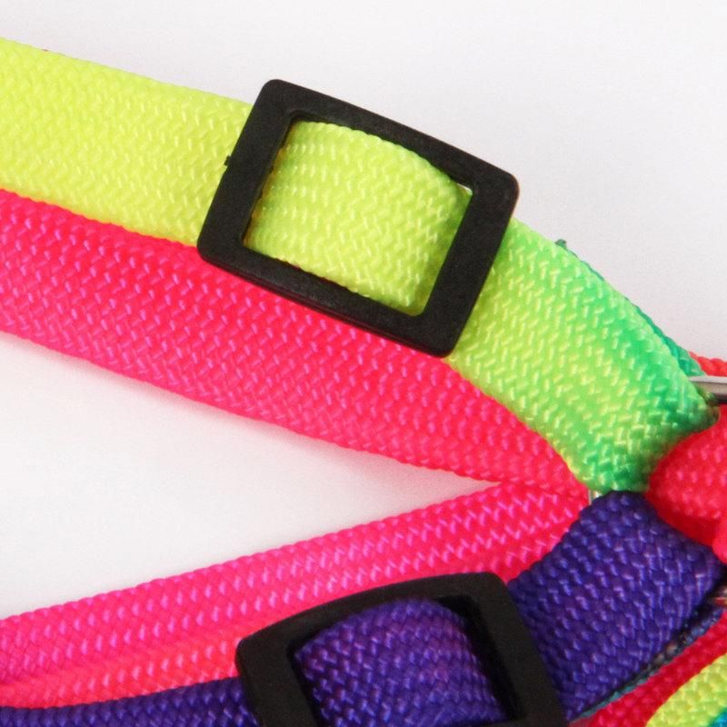 Rainbow Color Leash for Small Pet Teddy