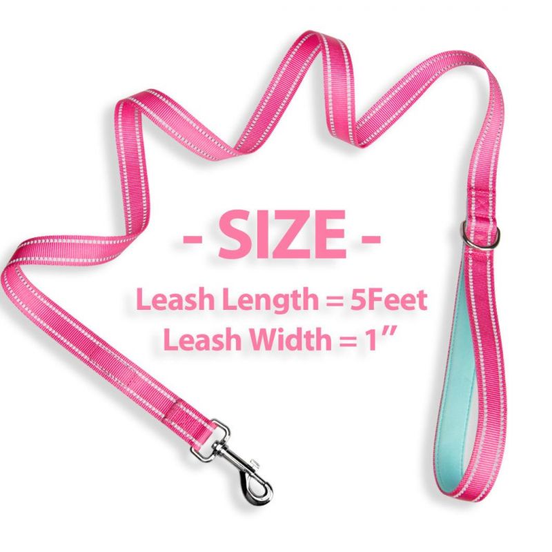 Double-Sided Reflective Dog Leash Padded Handle Nylon Dogs Leashes for Walking, Training Lead for Large, Medium & Small Dogs
