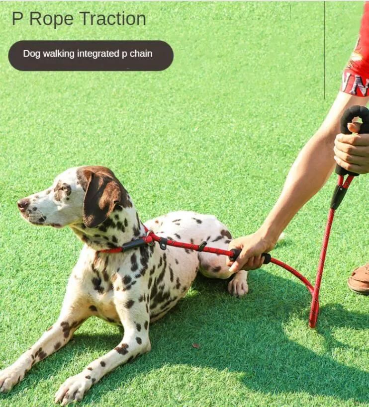 Highly Reflective Dog Leash with Small MOQ