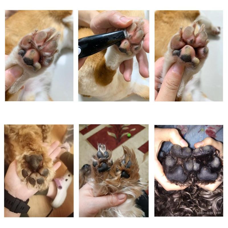 Professional USB Rechargeable Pet Cat Foot Hair Trimmer Dog Growing Clipper for Foot Butt Ear Eyes