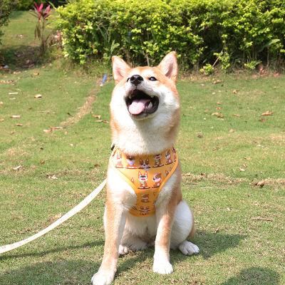 New Design Polyester Pet Lovely Dog Harness Leash Set with Bowtie Collar Bandana and Poop Bag/Popular