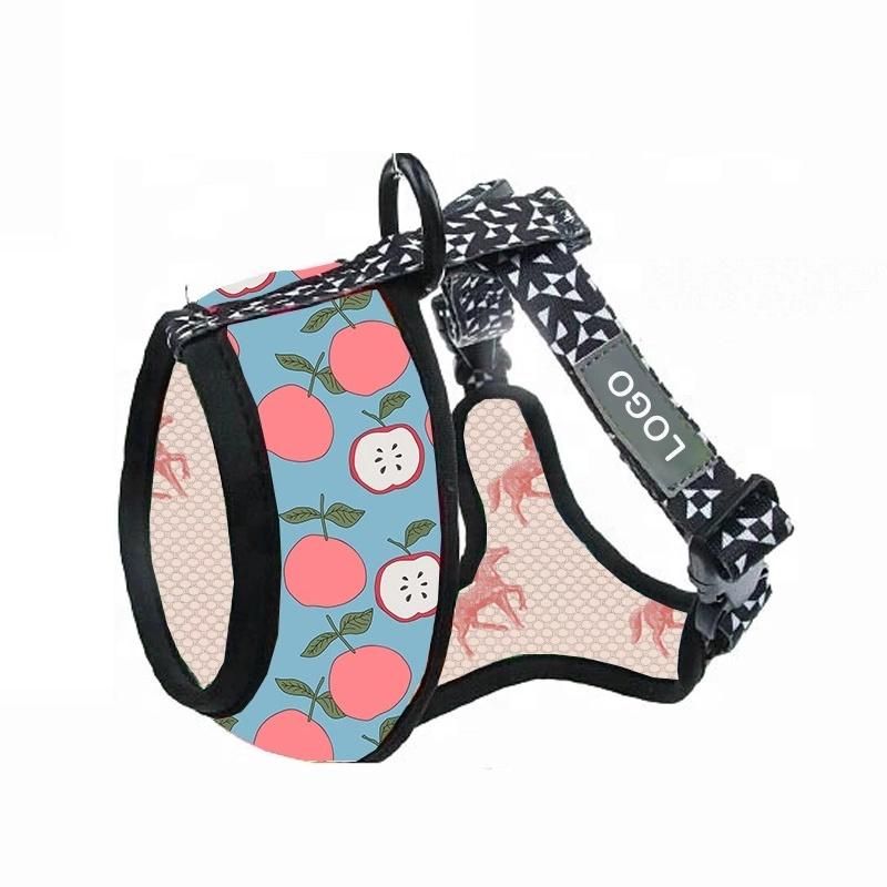 High Quality Customize Art Pattern Colorful Dog Harness/Color Dog/Colored Leash for Dogs