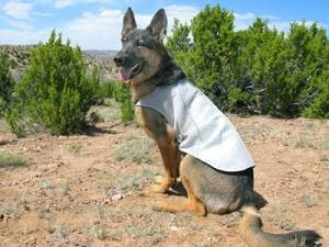 Cooling Dog Vest