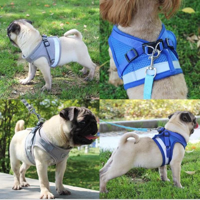 Nylon Mesh Puppy Pet Cat Harness & Leash Set Reflective Pet Dog Vest Harness