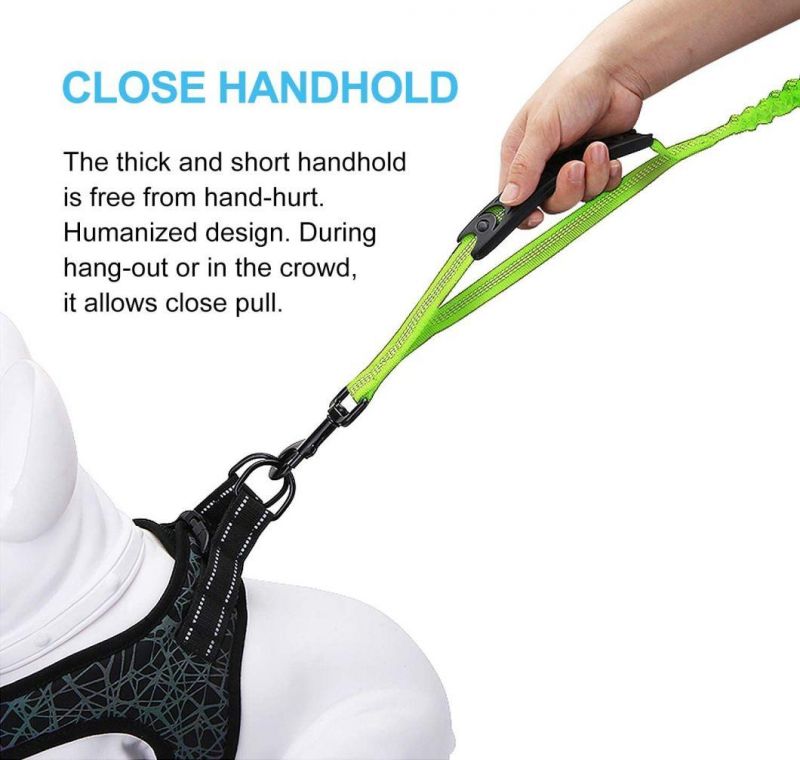 Indestructible Anti-Shock Leash with Highly Reflective
