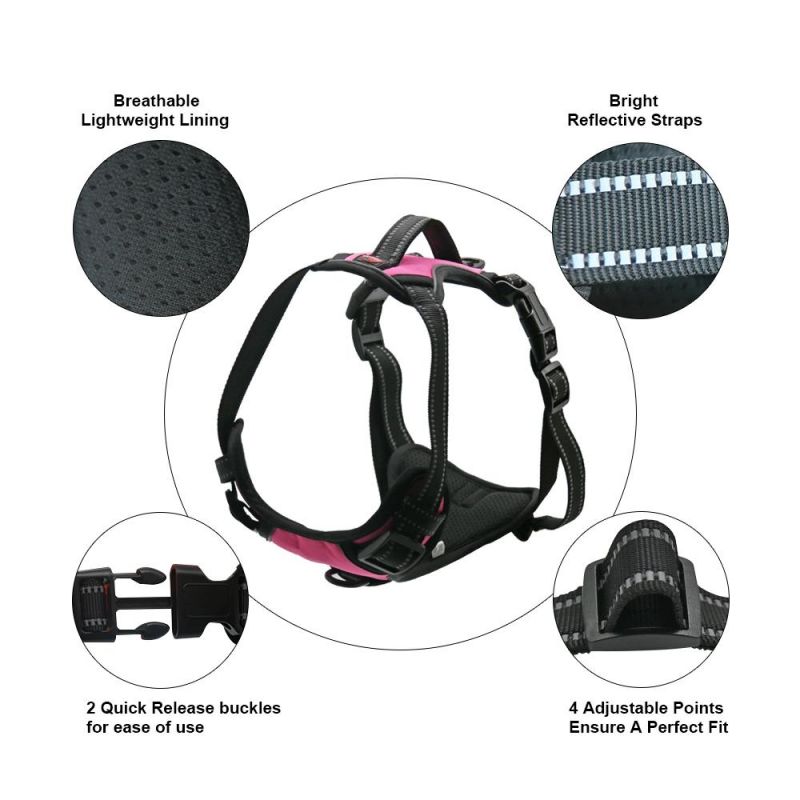 OEM Pet Products Full Sets of Harness Directly Factory Price Dog Harness Adjustable Dog Collar